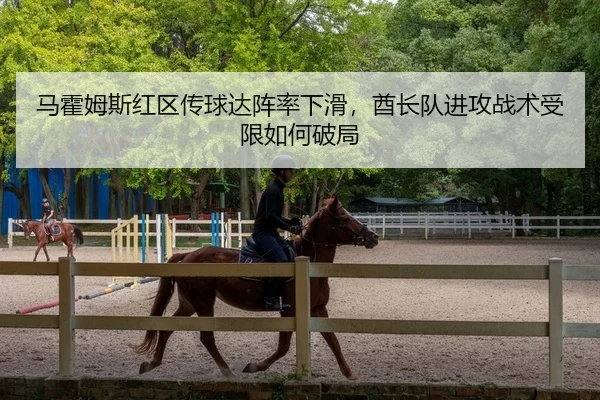 马霍姆斯红区传球达阵率下滑，酋长队进攻战术受限如何破局